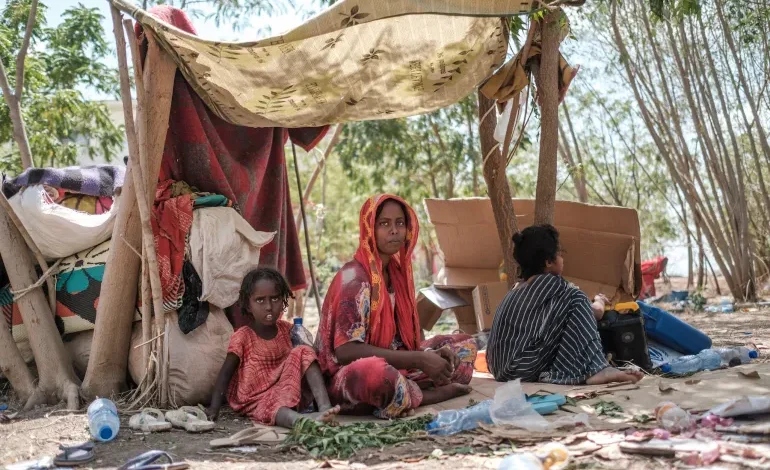 Sudanese refugees hiding in Ethiopian forest to escape bandits and militias