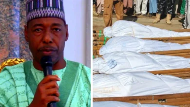 Governor Babagana Zulum Condemns Boko Haram Attack Killing 40 Farmers