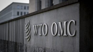 Hong Kong to File Complaint with WTO Over US Tariffs - Official