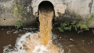 UK water firms get £168m fine over poor sewage management