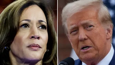 Harris Losing Ground to Trump in US Presidential Election, Polls Suggest