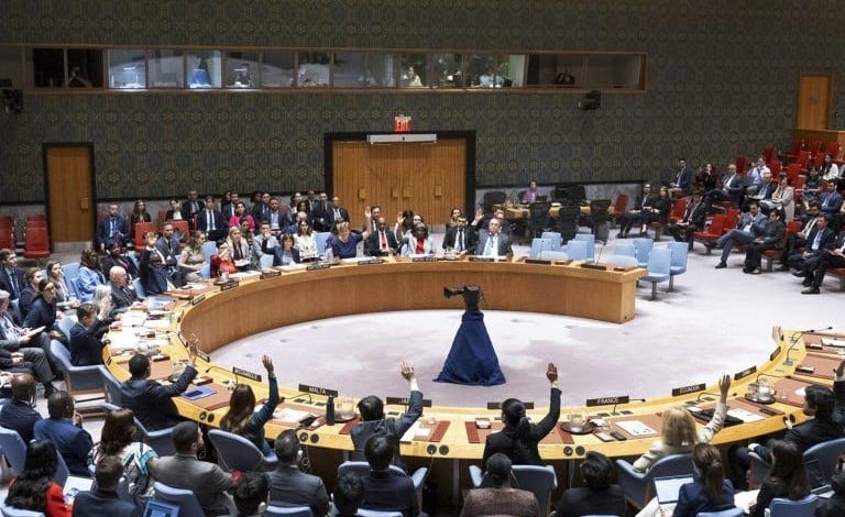 UN Security Council Backs US Israel-Gaza Ceasefire Plan