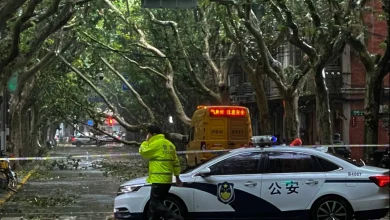 Shanghai Hit by Second Typhoon Days after Historic Storm