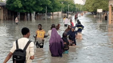 Maiduguri: Residents Return Home as Floodwaters Recede