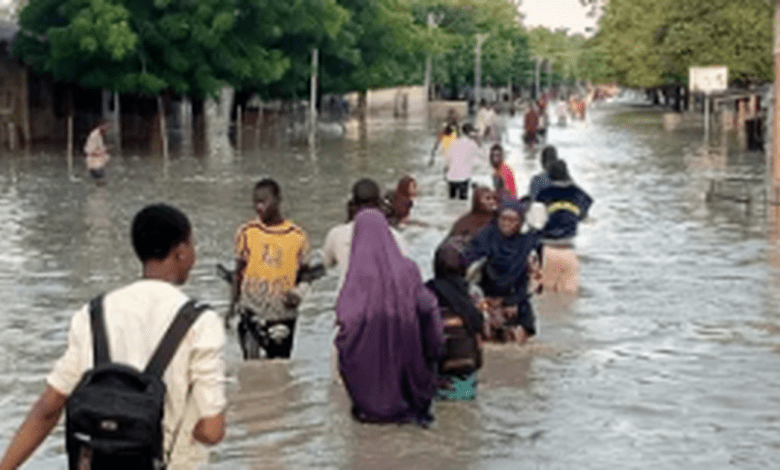 Maiduguri: Residents Return Home as Floodwaters Recede