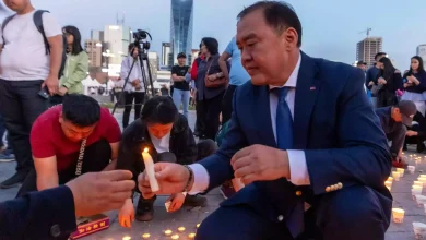 Mongolia Opposition Politician Killed During Election Campaign