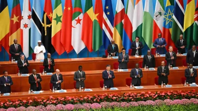 China’s Xi Promises $50 Billion for Africa over Next Three Years