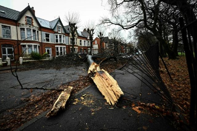 Power Cuts, Train Cancellations As Storm Darragh Batters UK