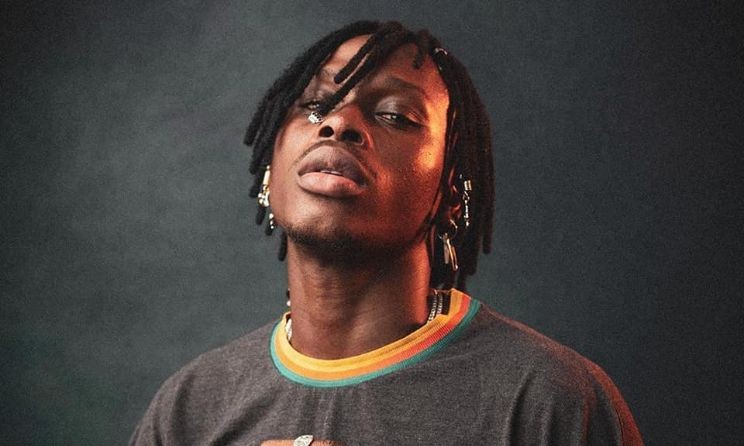 Nigerian Singer-Songwriter Fireboy DML