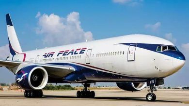 Lagos-Bound Air Peace Flight Experiences Bird Strike