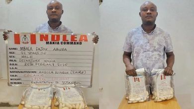 Angolan Businessman Excretes 120 Wraps Of Cocaine At Kano Airport – NDLEA