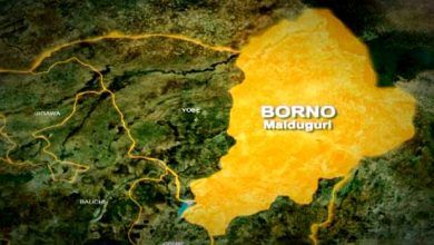 NigeriaAt64: Borno Scales Down Celebration, Calls for Prayers