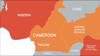 EU Pledges €91 Million to Boost Cameroon’s Infrastructure, Investment