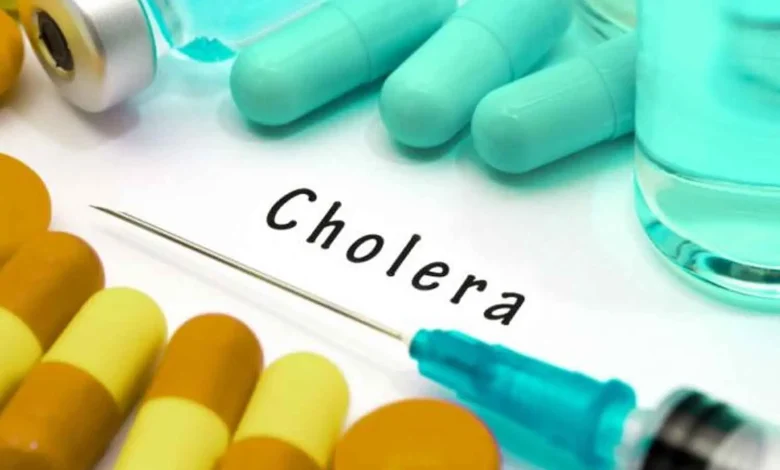 Cholera: WHO Announces over 1,900 Deaths, 195,000 Cases Globally