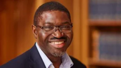 UK to Nominate Nigeria-born Law Professor for 2026 ICJ Election