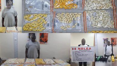 Ex-Convict Nabbed With ₦4.6bn Worth Cocaine at Lagos Airport