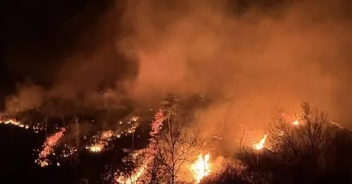 Devastating Wildfires Sweep South Korea, Claim Lives and Threaten Historic Sites