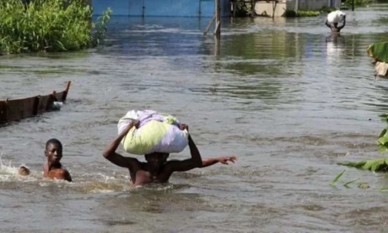 Incessant Rainfall, Flooding May Worsen Cholera Spread - FG