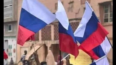 Poland denies citizens’ involvement in waving russian flag