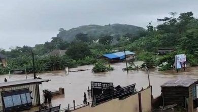 Govt orders evacuation as flood wreaks havoc in Ondo