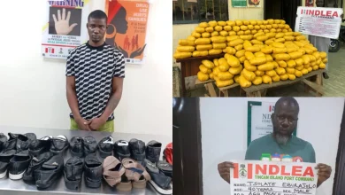 NDLEA Intercepts US, Europe-Bound Drugs in Shoe Soles, N16.6b Opioids at Seaports