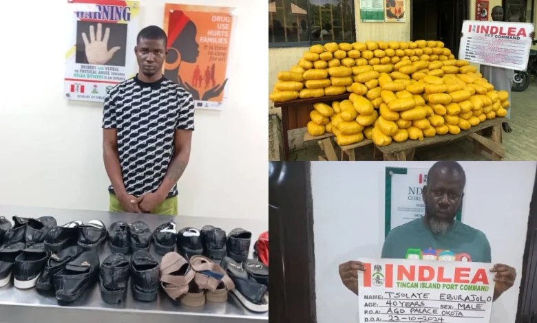 NDLEA Intercepts US, Europe-Bound Drugs in Shoe Soles, N16.6b Opioids at Seaports