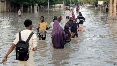 Flood: Borno Announces Cholera Outbreak, Approves 400, 000 Vaccines