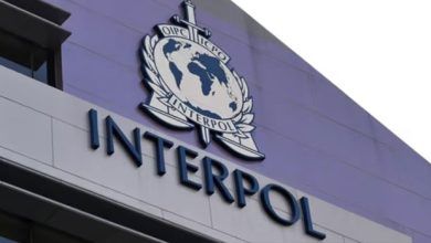 Interpol to Investigate 46 Unresolved Women-Related Murder Cases