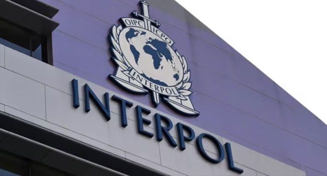 Interpol to Investigate 46 Unresolved Women-Related Murder Cases