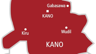 Kano Debunks Measles Outbreak