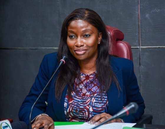 FAAN MD Kicks Over Touting, Harassment Of Passengers At Airports