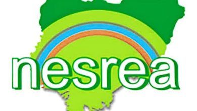 NESREA, Rwanda to collaborate on environmental sustainability