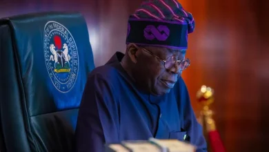 Insecurity: We Have Disrupted And Dismantled Criminal Networks – Tinubu