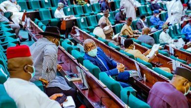 Reps Consider Bill to Establish South-East Erosion Control Commission