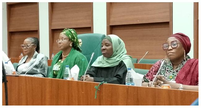 Reps Pass Bill to Increase Women’s Representation in Parliament