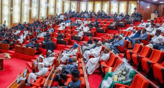 Senate Moves to Establish Local Government Electoral Commission