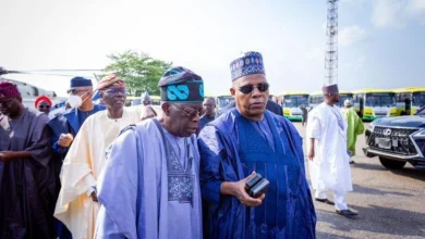 Tinubu’s Administration Needs Support to Actualize Its Policies, Programmes – Shettima