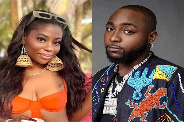 Davido Seeks Joint Custody Of Daughter, Drags Sophia Momodu To Court