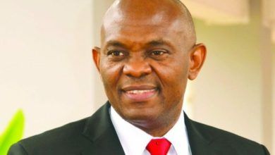 FG, Security Agents Should Tell Nigerians Those Stealing Crude with Vessels – Elumelu