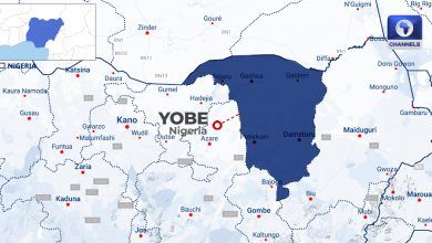 Seven Killed as Armed Robbers Attack Yobe Market