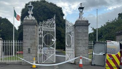 Vehicle Hits Gates at Irish Government Buildings