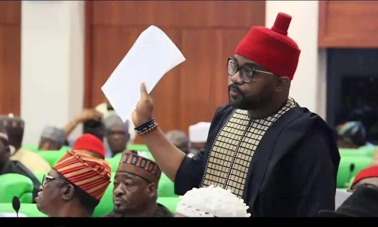 PDP Expels Ugochinyere Over Alleged Indiscipline, Anti-Party Activities