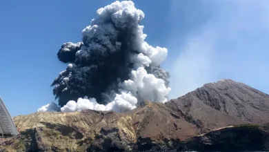 New Zealand’s White Island Volcano Erupts, Flights Grounded 