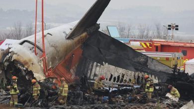 South Korea Orders Emergency Airline Safety Review after Deadly Plane Crash