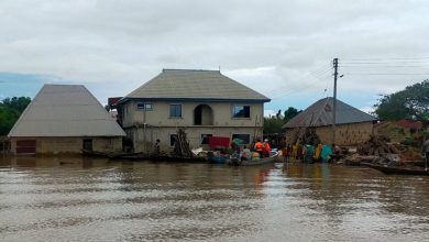 Maiduguri Flood: Many Still Trapped on Rooftops – Nema