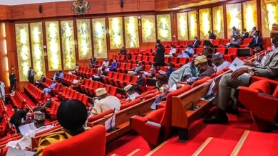 Senate, Group Demand Domestic Servants’ Inclusion in Minimum Wage Scheme