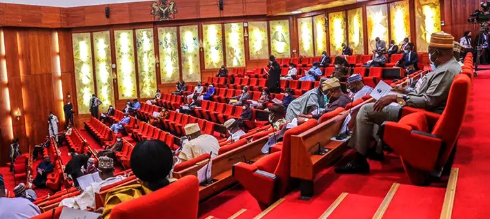 Senate, Group Demand Domestic Servants’ Inclusion in Minimum Wage Scheme