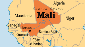 Mali Cuts Diplomatic Ties with Ukraine over Wagner Attack Controversy