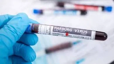 Rwanda Marburg Virus Death Toll Rises to Eleven