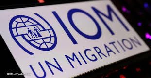 UN Migration Agency Lays Off Thousands Due to U.S. Aid Funding Cuts